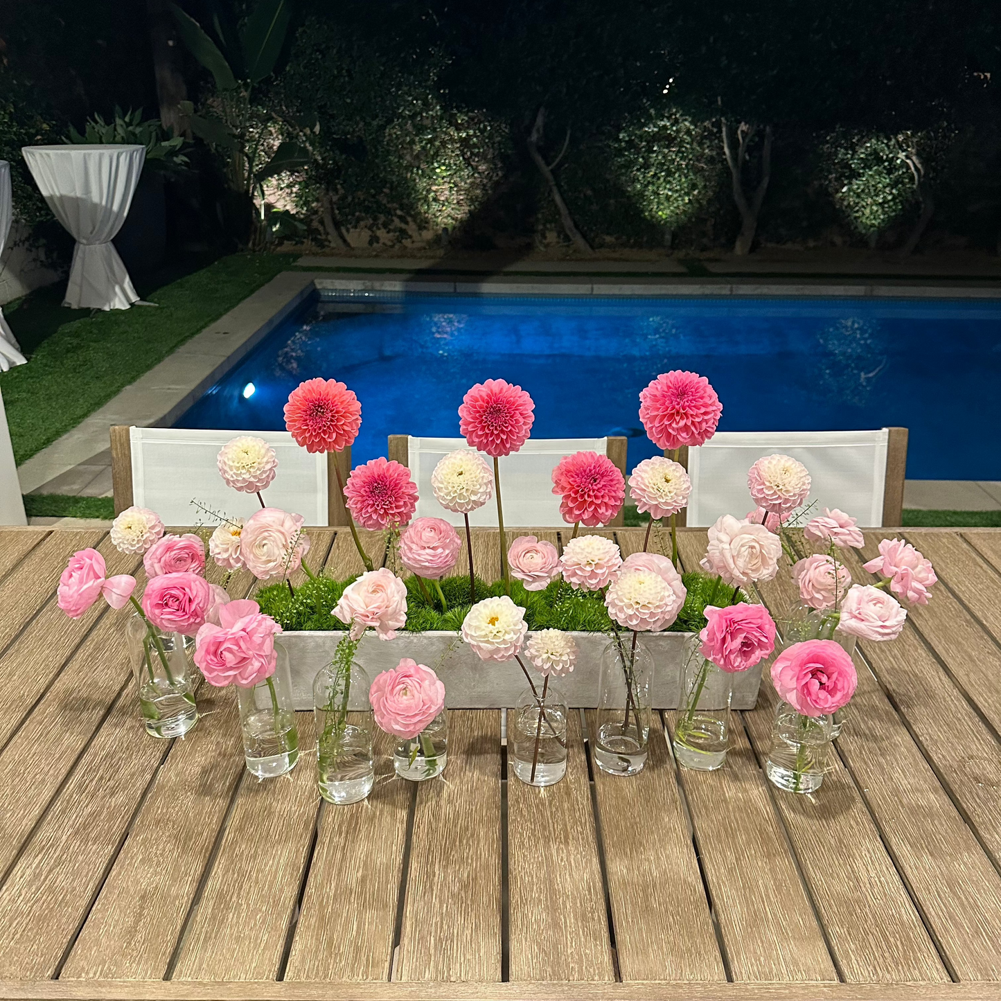 Fairy Garden