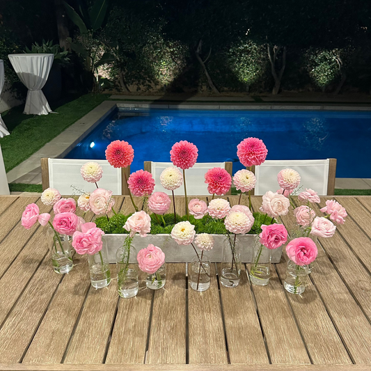 Fairy Garden