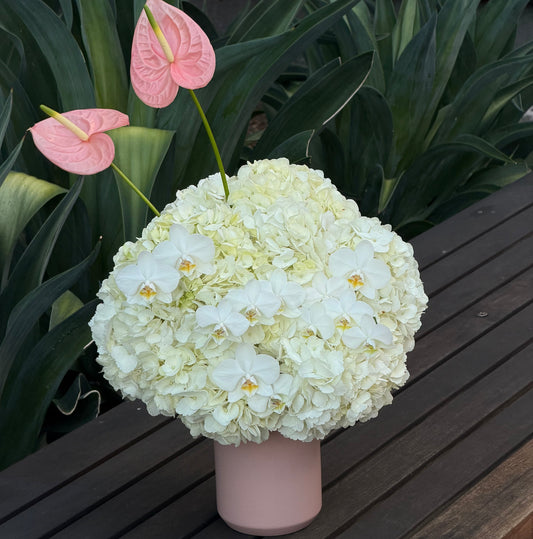 Hydrangea & Orchid